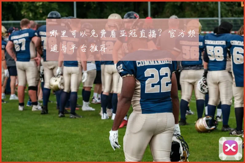 哪里可以免费看亚冠直播？官方频道与平台推荐