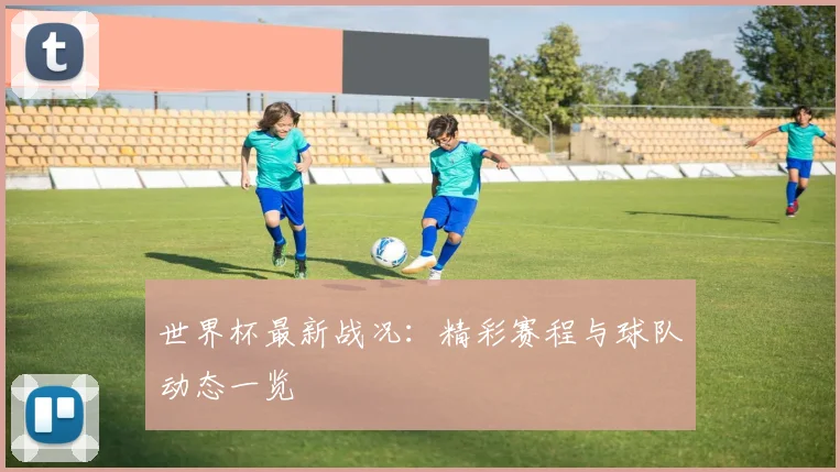 世界杯最新战况：精彩赛程与球队动态一览