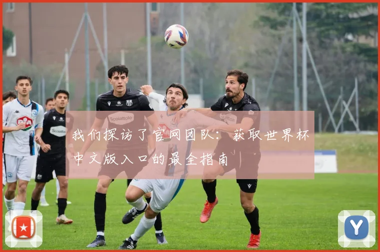 我们探访了官网团队：获取世界杯中文版入口的最全指南