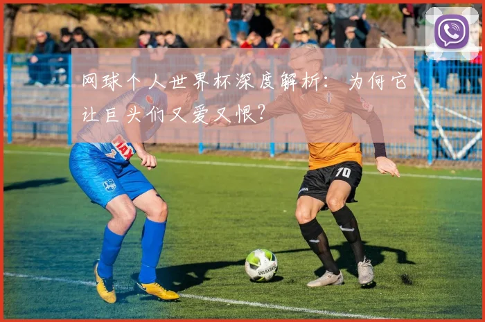 网球个人世界杯深度解析：为何它让巨头们又爱又恨？
