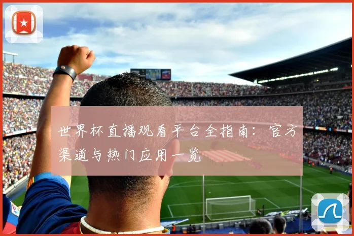 世界杯直播观看平台全指南：官方渠道与热门应用一览