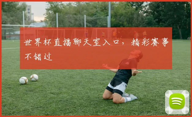 世界杯直播聊天室入口，精彩赛事不错过