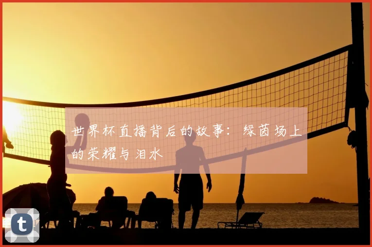 世界杯直播背后的故事：绿茵场上的荣耀与泪水