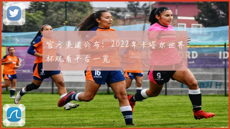 官方渠道公布：2022年卡塔尔世界杯观看平台一览