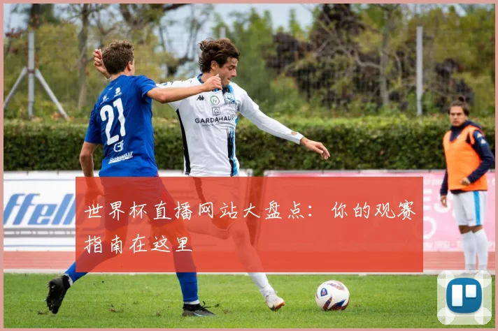 世界杯直播网站大盘点：你的观赛指南在这里