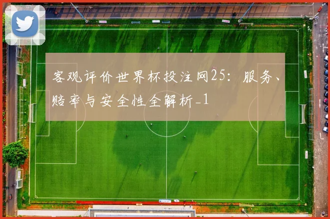 客观评价世界杯投注网25：服务、赔率与安全性全解析_1
